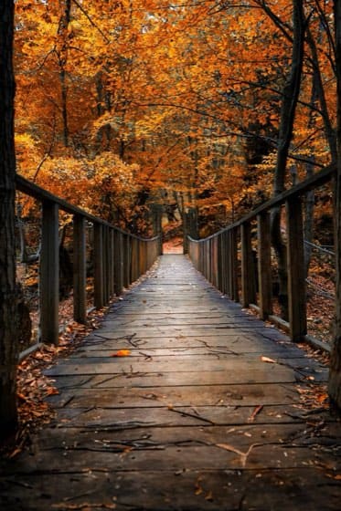 Couverture du template November