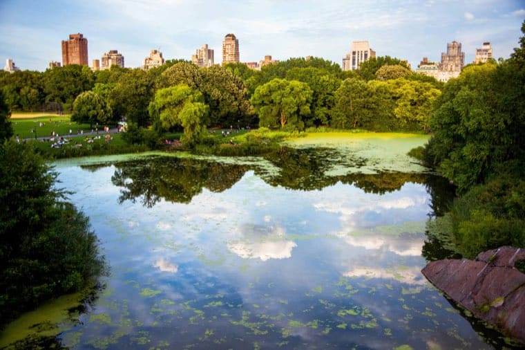 New York