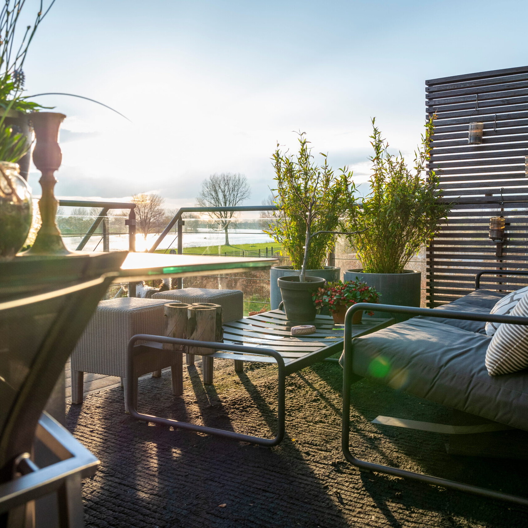 Terrasse en ville aménagée avec canapé d’extérieur, table basse et grandes plantes en pots au coucher du soleil