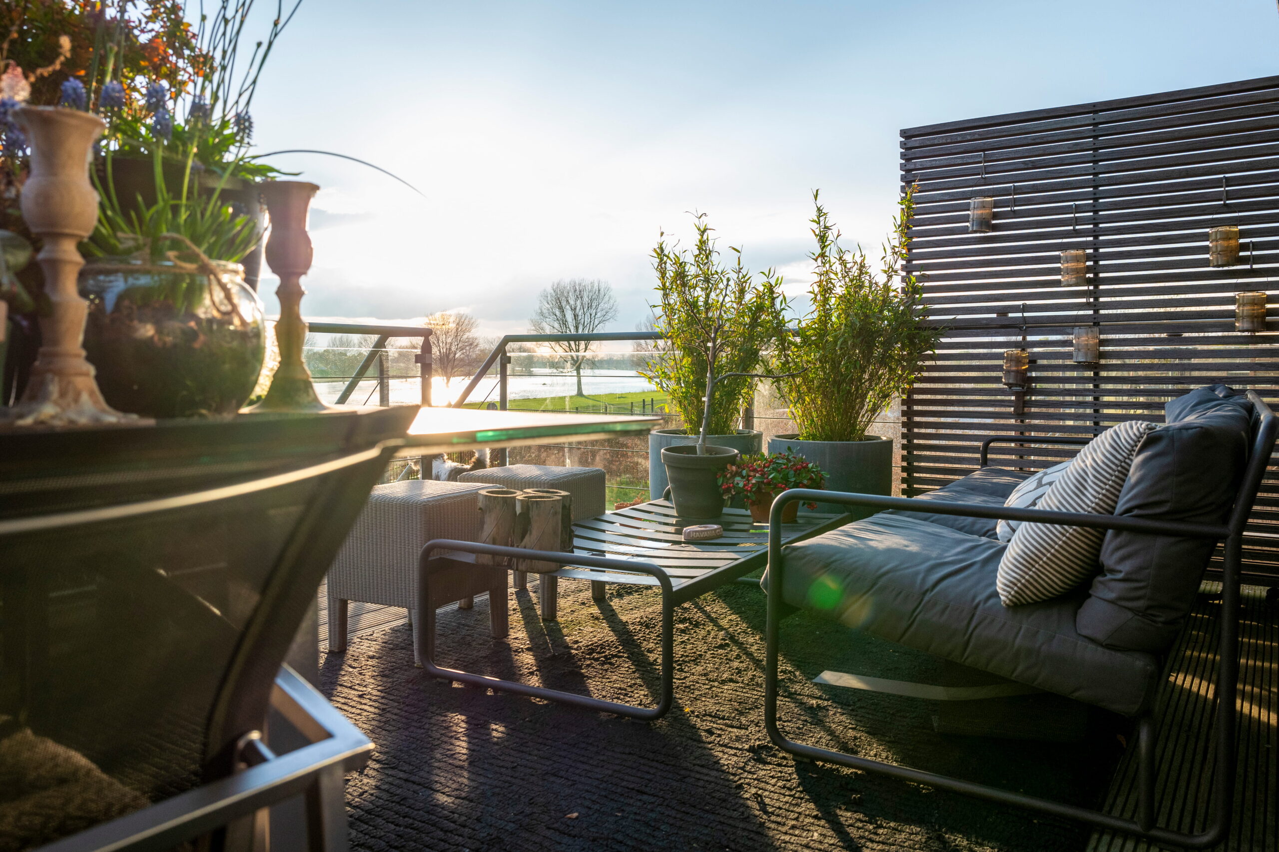 Terrasse en ville aménagée avec canapé d’extérieur, table basse et grandes plantes en pots au coucher du soleil