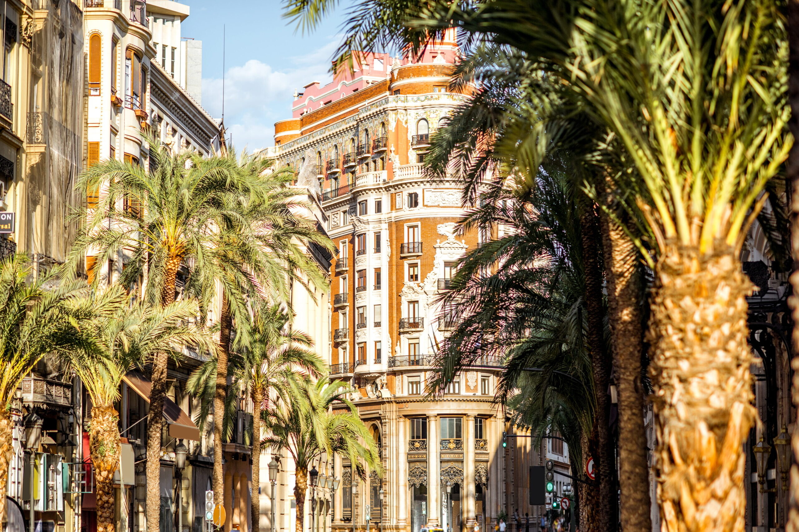 Petit jardin &agrave; Valence am&eacute;nag&eacute; avec all&eacute;e en pierre, massifs fleuris, mur ancien v&eacute;g&eacute;talis&eacute; et banc en bois