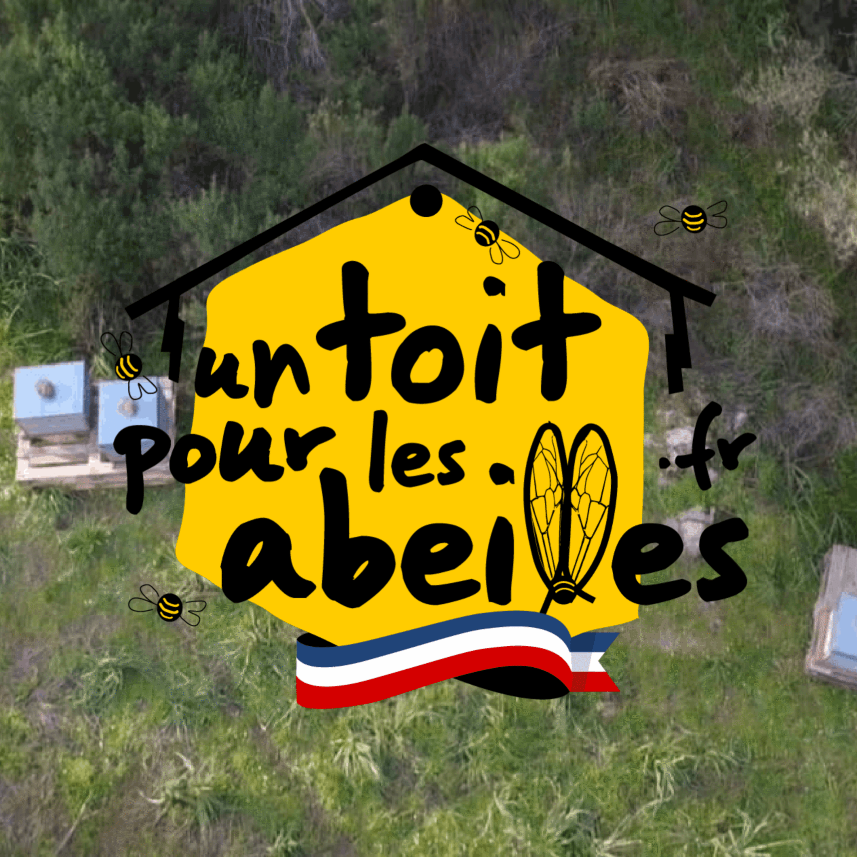 Loog Un Toit Pour Les Abeilles
