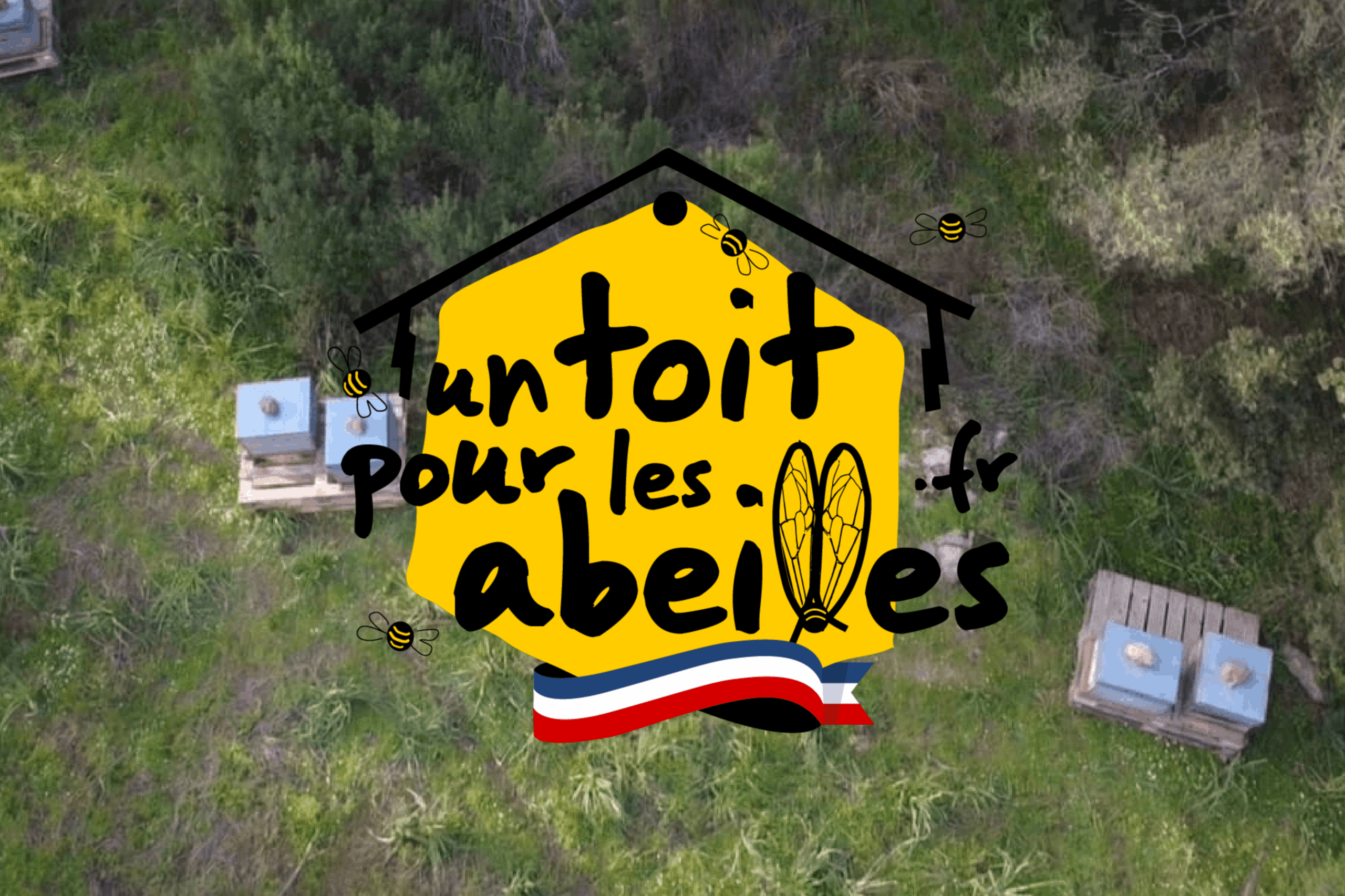 Loog Un Toit Pour Les Abeilles